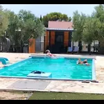 Mobile Pelin With Shared Pool Pirovac